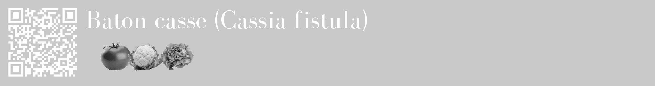 Étiquette de : Cassia fistula - format c - style blanche54_basique_basiquebod avec qrcode et comestibilité simplifiée
