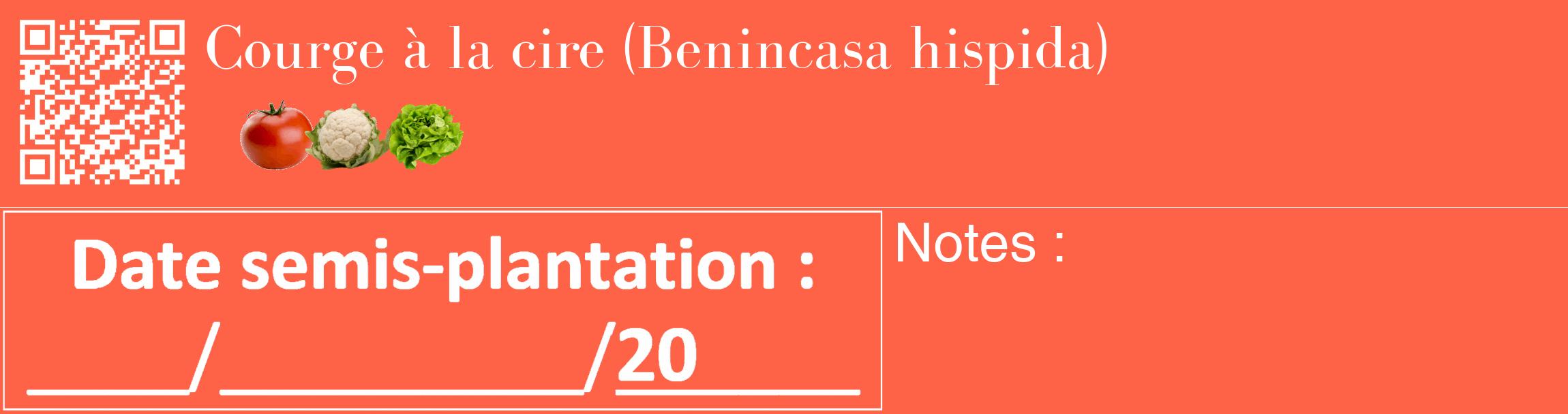 Étiquette de : Benincasa hispida - format c - style blanche25_basique_basiquebod avec qrcode et comestibilité simplifiée