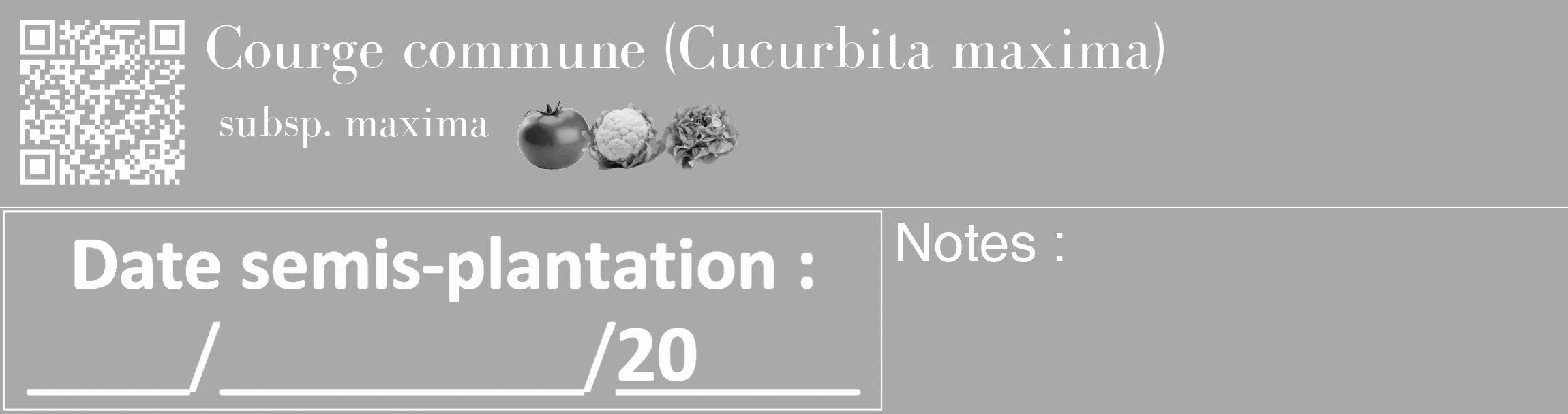 Étiquette de : Cucurbita maxima subsp. maxima - format c - style blanche13_basique_basiquebod avec qrcode et comestibilité simplifiée