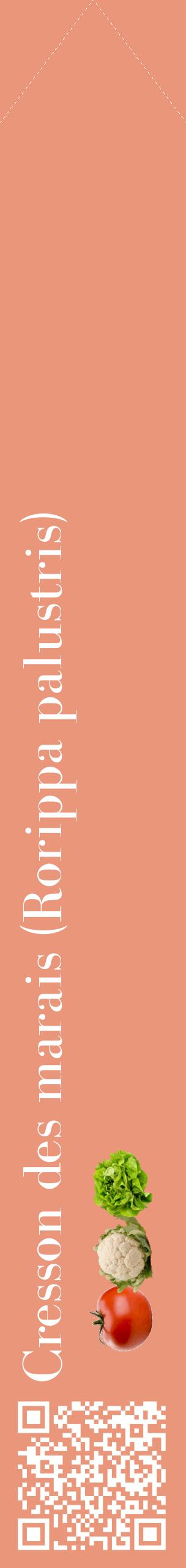 Étiquette de : Rorippa palustris - format c - style blanche37_simplebod avec qrcode et comestibilité simplifiée