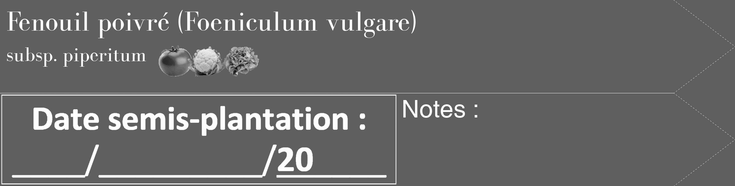 Étiquette de : Foeniculum vulgare subsp. piperitum - format c - style blanche10simple_simple_simplebod avec comestibilité simplifiée
