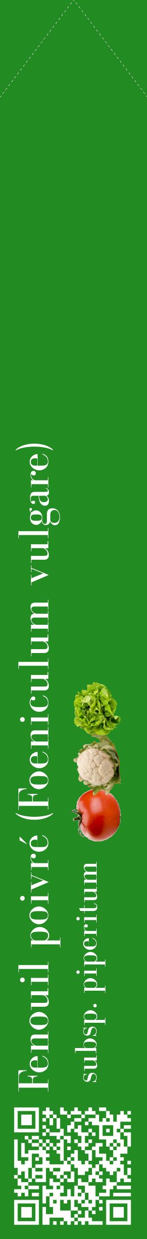 Étiquette de : Foeniculum vulgare subsp. piperitum - format c - style blanche10_simplebod avec qrcode et comestibilité simplifiée