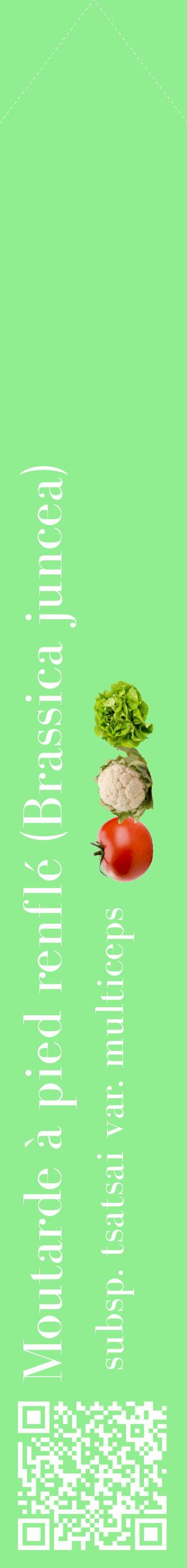 Étiquette de : Brassica juncea subsp. tsatsai var. multiceps - format c - style blanche15_simplebod avec qrcode et comestibilité simplifiée