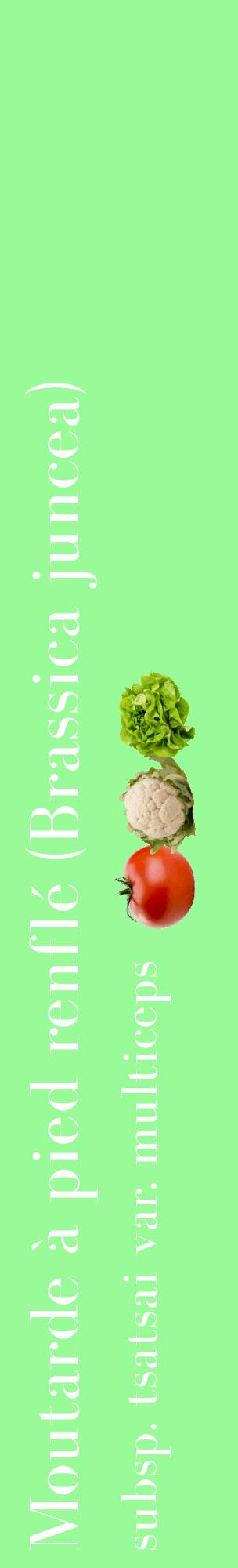 Étiquette de : Brassica juncea subsp. tsatsai var. multiceps - format c - style blanche14_basiquebod avec comestibilité simplifiée