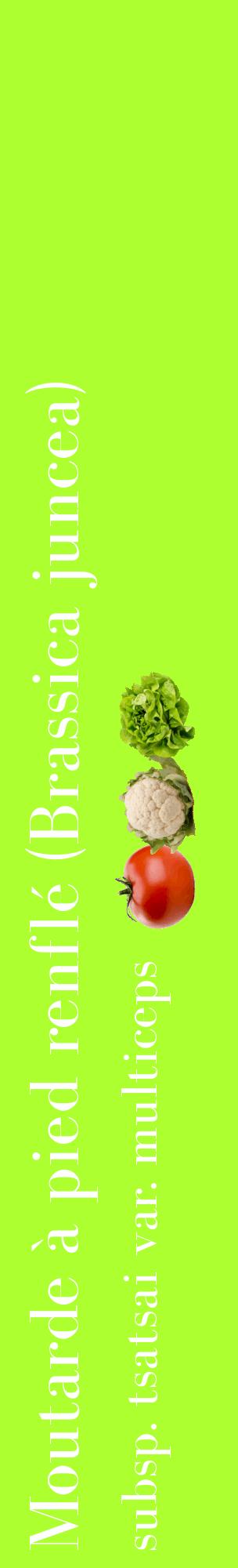 Étiquette de : Brassica juncea subsp. tsatsai var. multiceps - format c - style blanche17_basiquebod avec comestibilité simplifiée