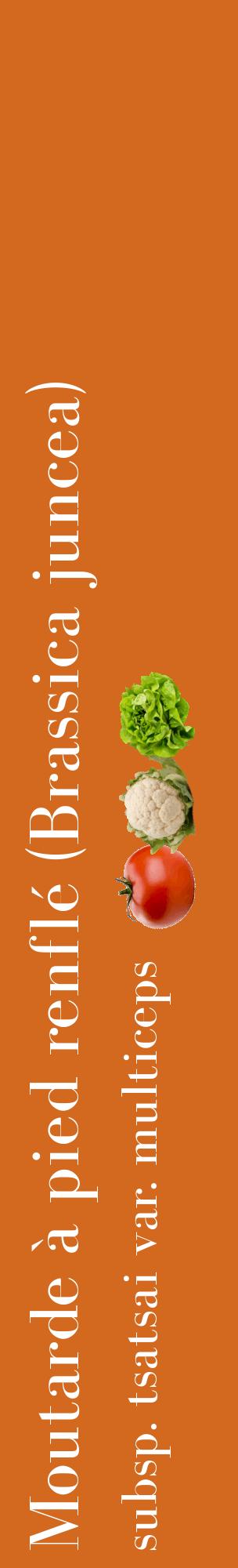 Étiquette de : Brassica juncea subsp. tsatsai var. multiceps - format c - style blanche31_basiquebod avec comestibilité simplifiée