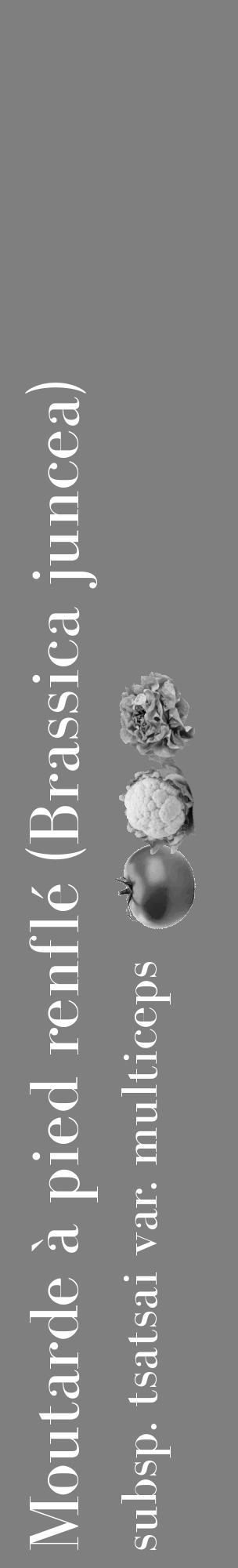 Étiquette de : Brassica juncea subsp. tsatsai var. multiceps - format c - style blanche31basique_basique_basiquebod avec comestibilité simplifiée - position verticale