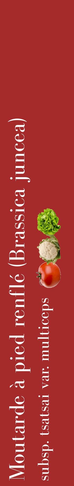 Étiquette de : Brassica juncea subsp. tsatsai var. multiceps - format c - style blanche33_basiquebod avec comestibilité simplifiée