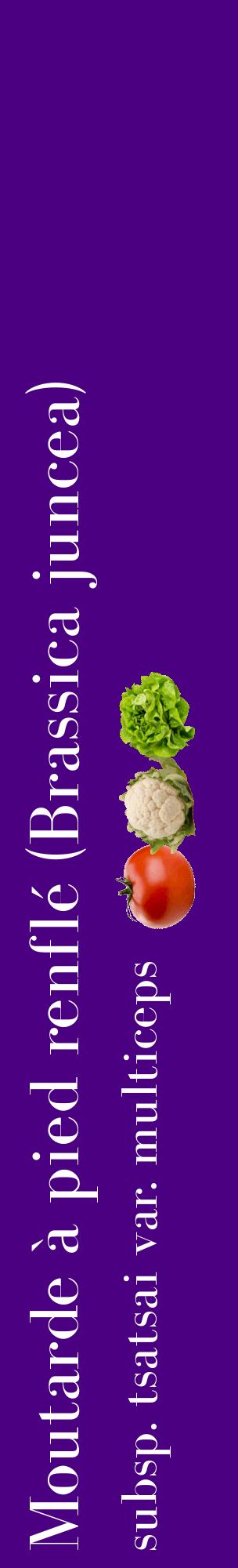 Étiquette de : Brassica juncea subsp. tsatsai var. multiceps - format c - style blanche47_basiquebod avec comestibilité simplifiée