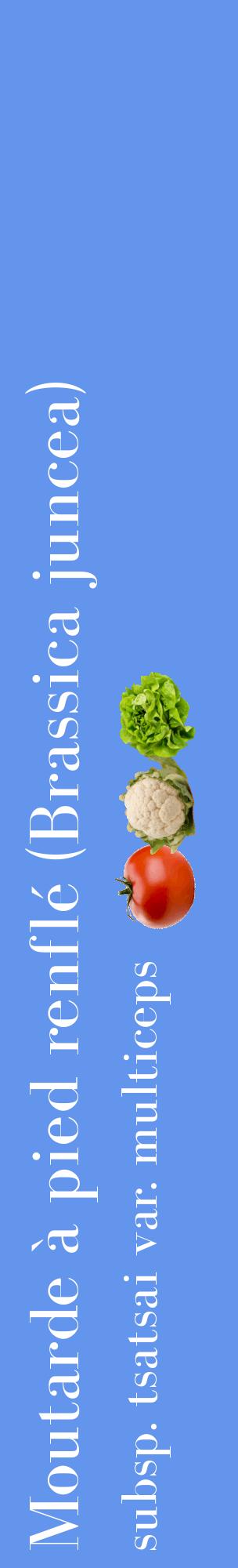 Étiquette de : Brassica juncea subsp. tsatsai var. multiceps - format c - style blanche4_basiquebod avec comestibilité simplifiée