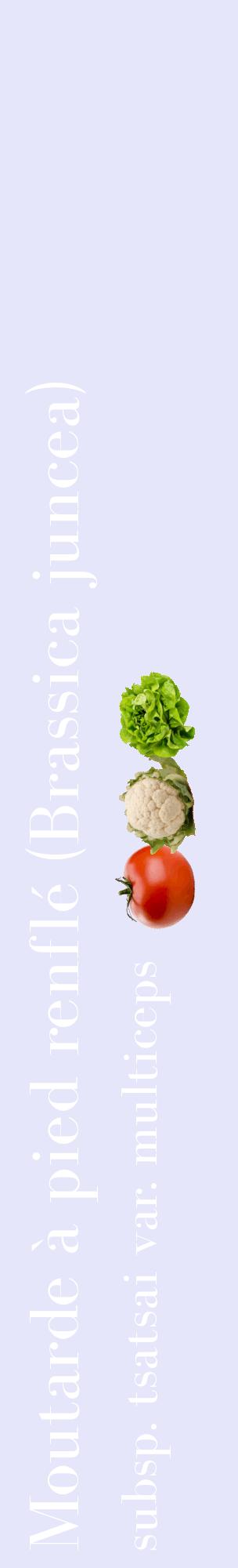 Étiquette de : Brassica juncea subsp. tsatsai var. multiceps - format c - style blanche55_basiquebod avec comestibilité simplifiée