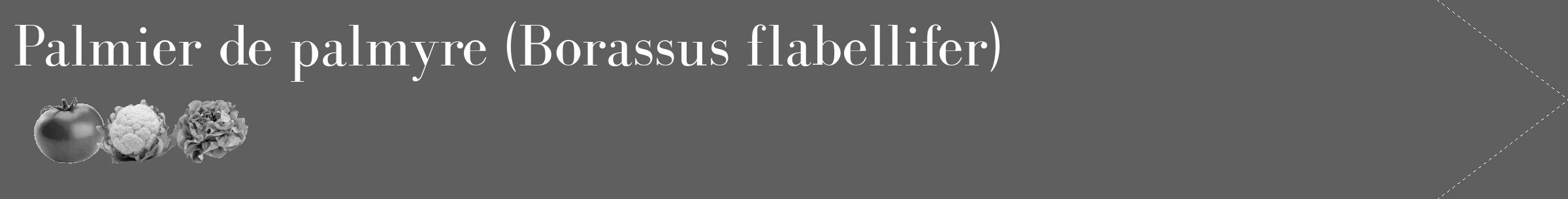 Étiquette de : Borassus flabellifer - format c - style blanche10_simple_simplebod avec comestibilité simplifiée