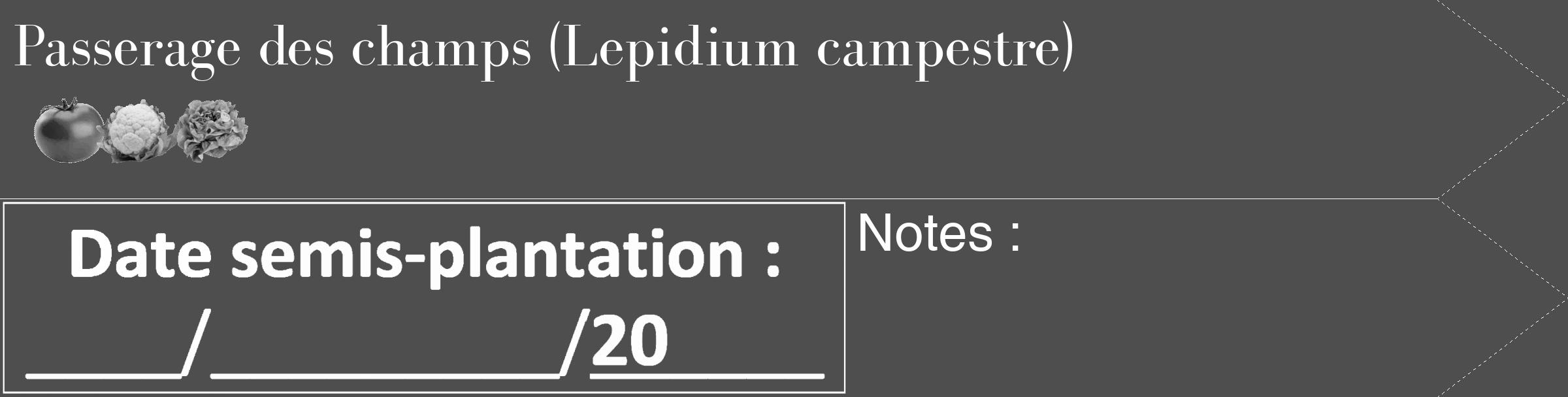 Étiquette de : Lepidium campestre - format c - style blanche33_simple_simplebod avec comestibilité simplifiée