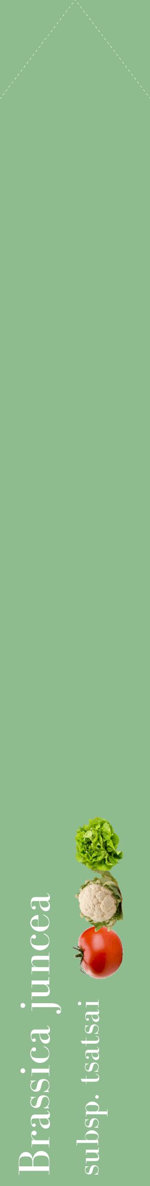 Étiquette de : Brassica juncea subsp. tsatsai - format c - style blanche13_simplebod avec comestibilité simplifiée