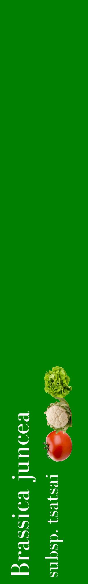 Étiquette de : Brassica juncea subsp. tsatsai - format c - style blanche9_basiquebod avec comestibilité simplifiée