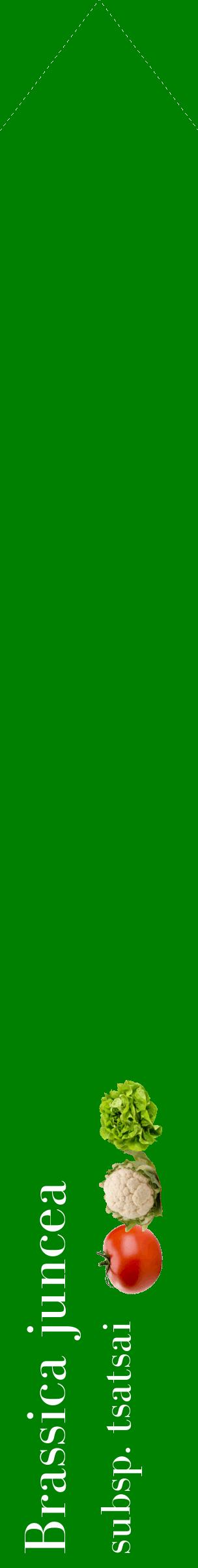 Étiquette de : Brassica juncea subsp. tsatsai - format c - style blanche9_simplebod avec comestibilité simplifiée