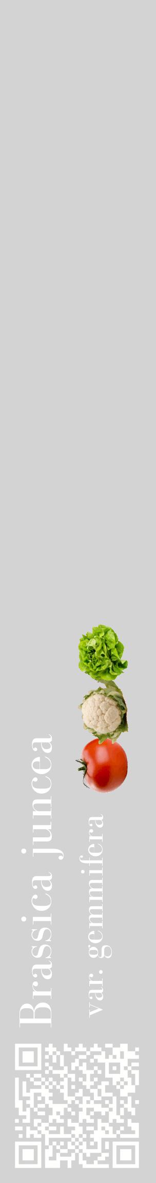 Étiquette de : Brassica juncea var. gemmifera - format c - style blanche56_basiquebod avec qrcode et comestibilité simplifiée