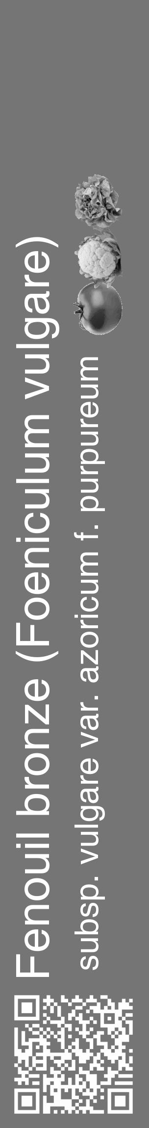 Étiquette de : Foeniculum vulgare subsp. vulgare var. azoricum f. purpureum - format c - style blanche5_basique_basiquehel avec qrcode et comestibilité simplifiée - position verticale