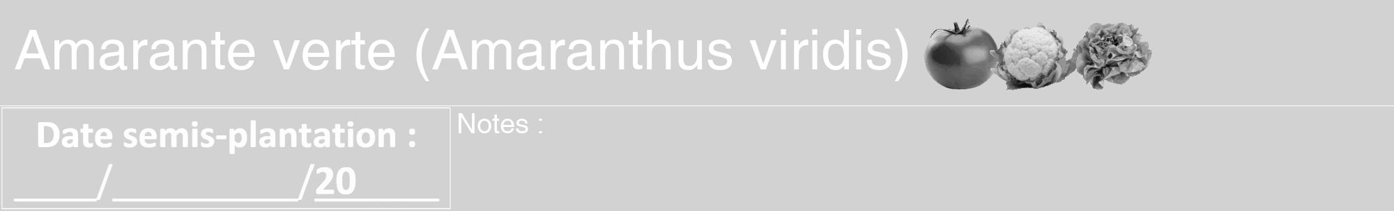 Étiquette de : Amaranthus viridis - format a - style blanche14hel avec comestibilité simplifiée