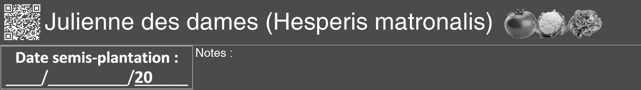 Étiquette de : Hesperis matronalis - format a - style blanche9hel avec qrcode et comestibilité simplifiée
