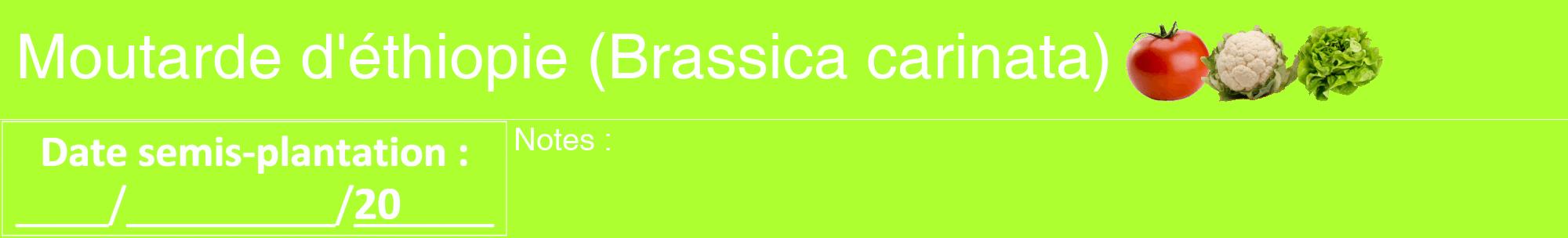 Étiquette de : Brassica carinata - format a - style blanche17hel avec comestibilité simplifiée