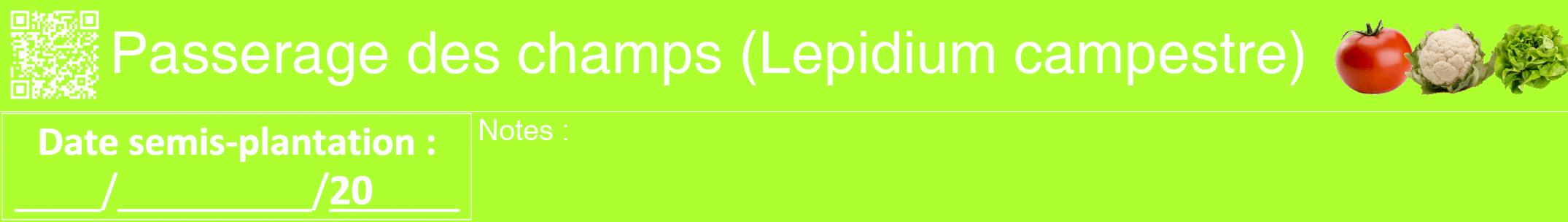 Étiquette de : Lepidium campestre - format a - style blanche17hel avec qrcode et comestibilité simplifiée