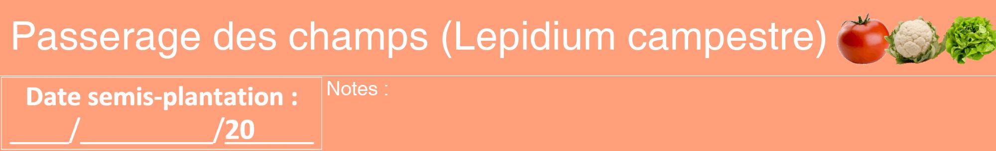 Étiquette de : Lepidium campestre - format a - style blanche39hel avec comestibilité simplifiée