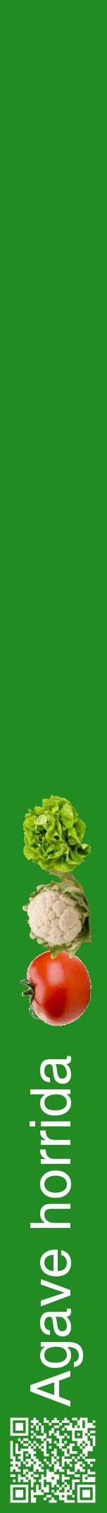 Étiquette de : Agave horrida - format a - style blanche10hel avec qrcode et comestibilité simplifiée