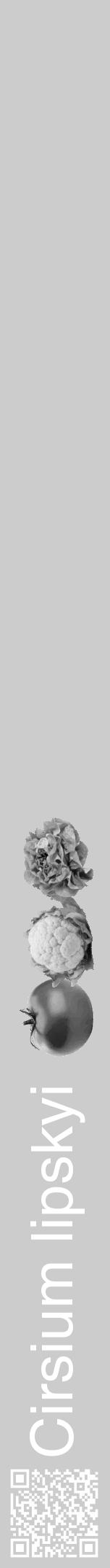 Étiquette de : Cirsium lipskyi - format a - style blanche0hel avec qrcode et comestibilité simplifiée - position verticale