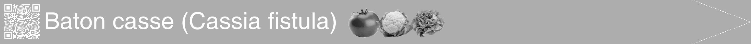 Étiquette de : Cassia fistula - format b - style blanche22hel avec qrcode et comestibilité simplifiée