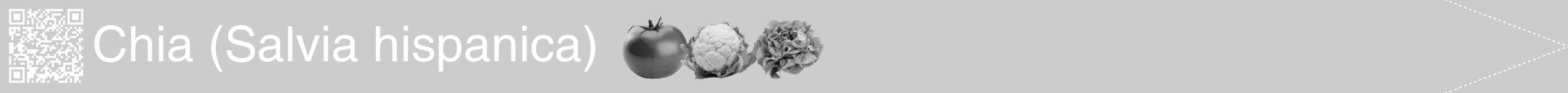 Étiquette de : Salvia hispanica - format b - style blanche0hel avec qrcode et comestibilité simplifiée