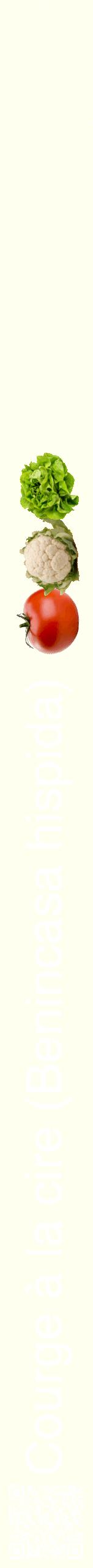Étiquette de : Benincasa hispida - format b - style blanche19hel avec qrcode et comestibilité simplifiée