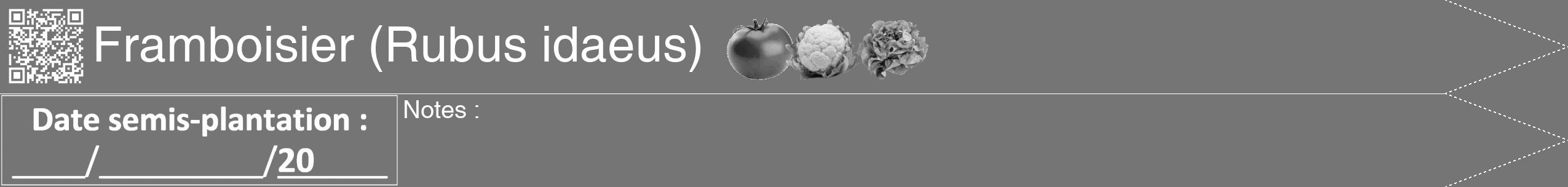 Étiquette de : Rubus idaeus - format b - style blanche5hel avec qrcode et comestibilité simplifiée