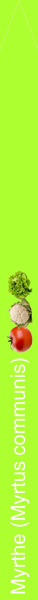 Étiquette de : Myrtus communis - format b - style blanche17hel avec comestibilité simplifiée
