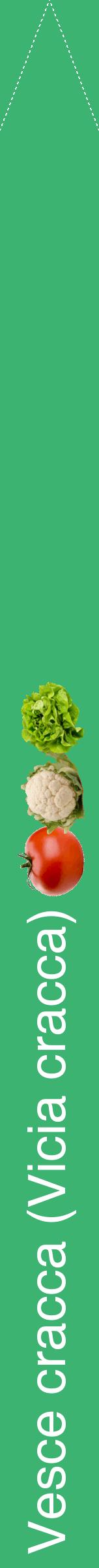 Étiquette de : Vicia cracca - format b - style blanche12hel avec comestibilité simplifiée