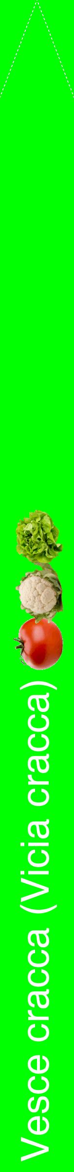 Étiquette de : Vicia cracca - format b - style blanche16hel avec comestibilité simplifiée