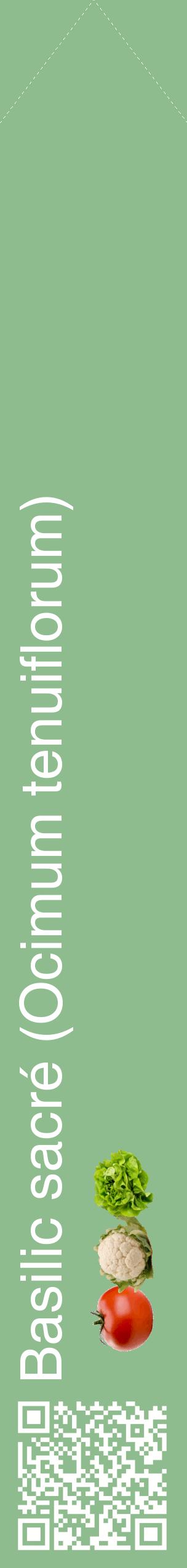 Étiquette de : Ocimum tenuiflorum - format c - style blanche13_simplehel avec qrcode et comestibilité simplifiée