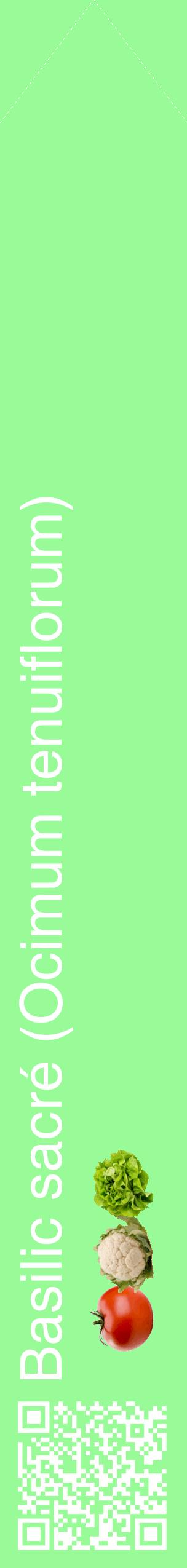 Étiquette de : Ocimum tenuiflorum - format c - style blanche14_simplehel avec qrcode et comestibilité simplifiée