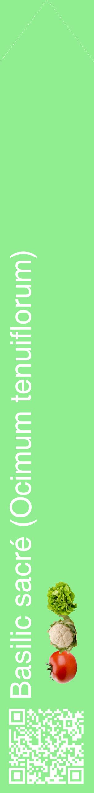 Étiquette de : Ocimum tenuiflorum - format c - style blanche15_simplehel avec qrcode et comestibilité simplifiée