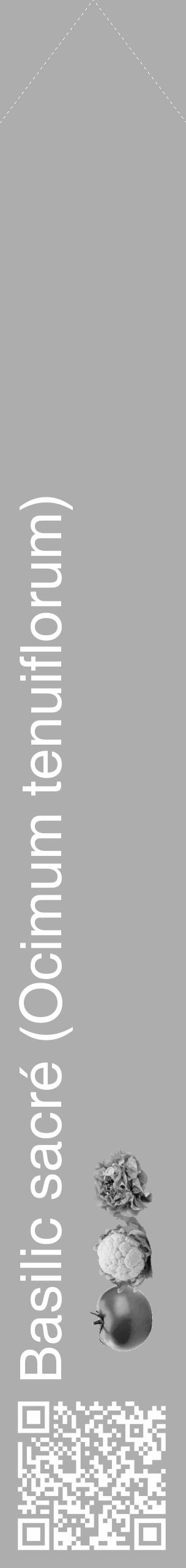 Étiquette de : Ocimum tenuiflorum - format c - style blanche22_simple_simplehel avec qrcode et comestibilité simplifiée - position verticale