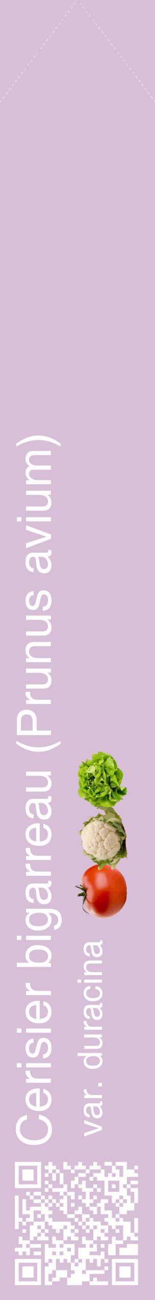 Étiquette de : Prunus avium var. duracina - format c - style blanche54_simplehel avec qrcode et comestibilité simplifiée