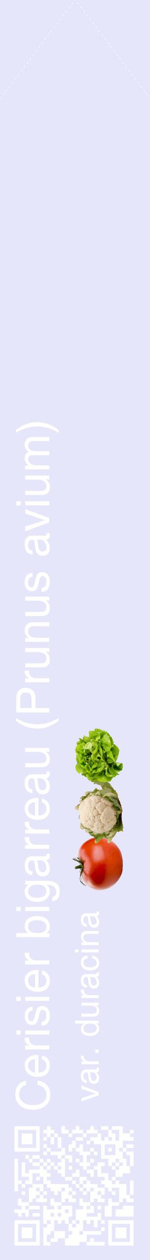 Étiquette de : Prunus avium var. duracina - format c - style blanche55_simplehel avec qrcode et comestibilité simplifiée