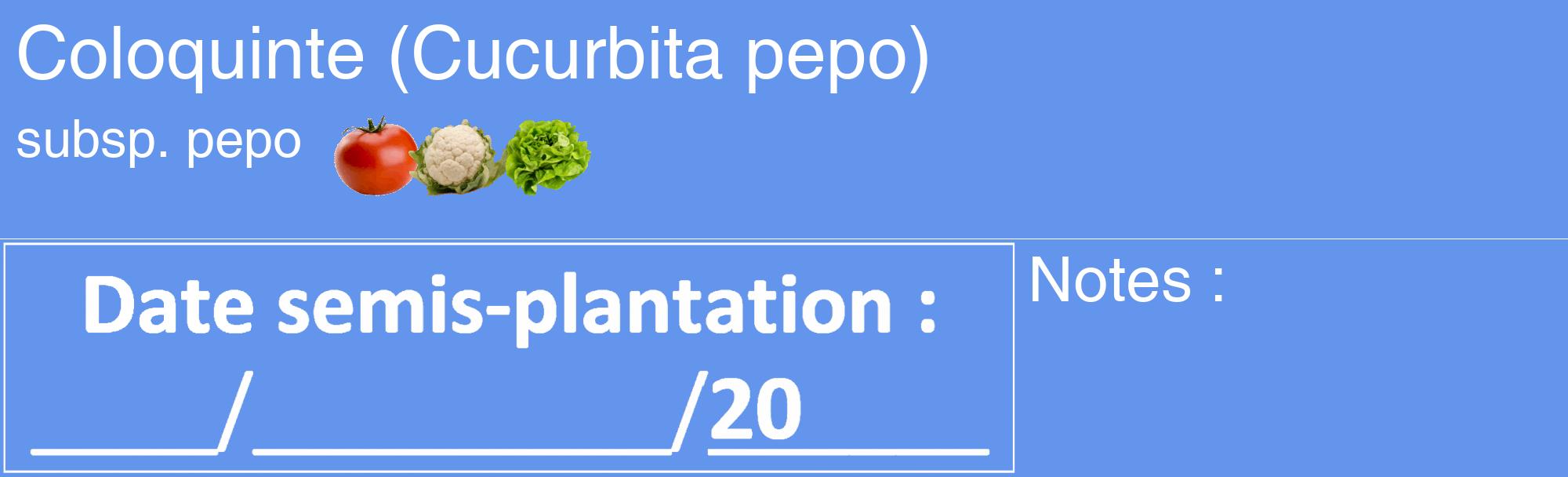 Étiquette de : Cucurbita pepo subsp. pepo - format c - style blanche4_basique_basiquehel avec comestibilité simplifiée