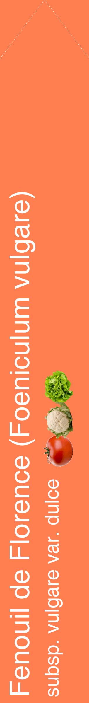Étiquette de : Foeniculum vulgare subsp. vulgare var. dulce - format c - style blanche24_simplehel avec comestibilité simplifiée