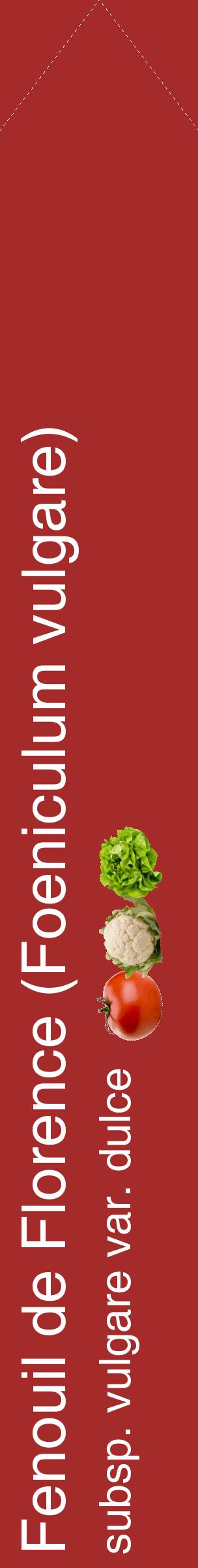 Étiquette de : Foeniculum vulgare subsp. vulgare var. dulce - format c - style blanche33_simplehel avec comestibilité simplifiée