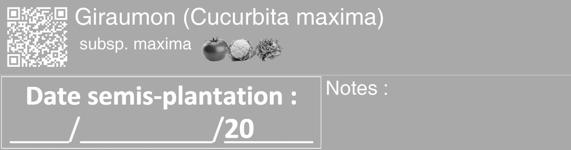 Étiquette de : Cucurbita maxima subsp. maxima - format c - style blanche13_basique_basiquehel avec qrcode et comestibilité simplifiée