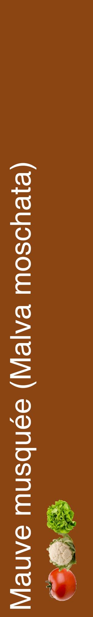 Étiquette de : Malva moschata - format c - style blanche30_basiquehel avec comestibilité simplifiée
