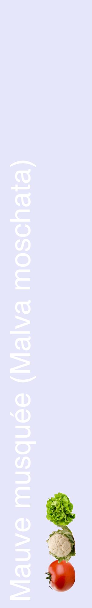 Étiquette de : Malva moschata - format c - style blanche55_basiquehel avec comestibilité simplifiée