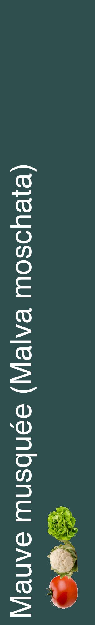 Étiquette de : Malva moschata - format c - style blanche58_basiquehel avec comestibilité simplifiée