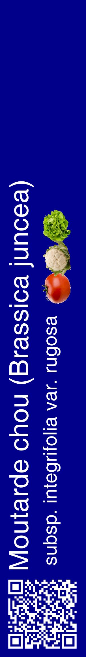 Étiquette de : Brassica juncea subsp. integrifolia var. rugosa - format c - style blanche7_basiquehel avec qrcode et comestibilité simplifiée